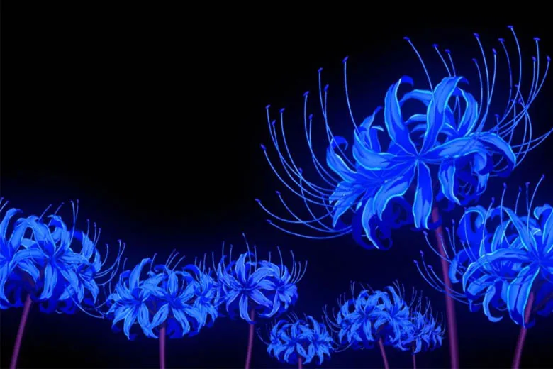 12 y nghia hoa bi ngan didongviet