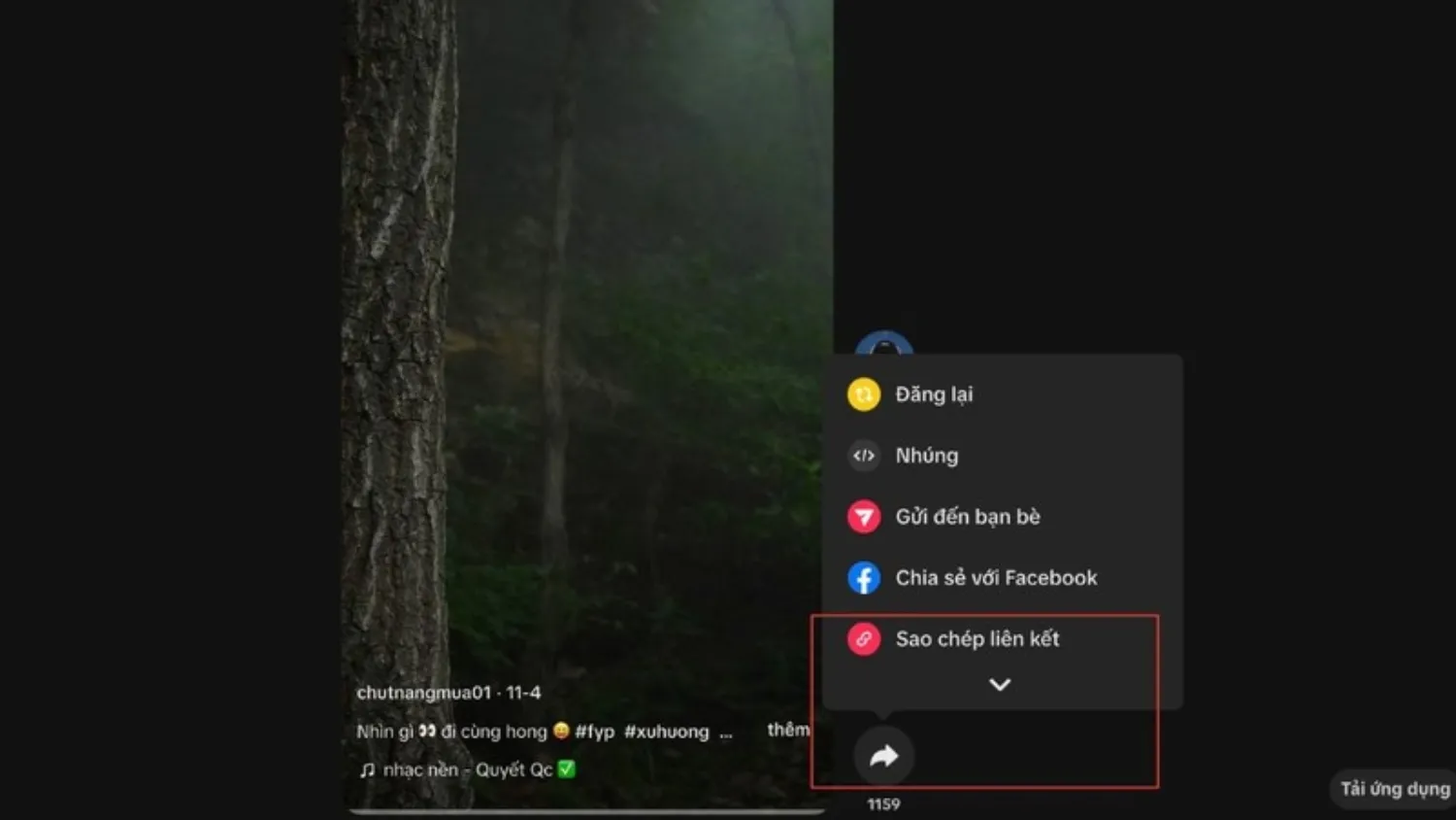 Sao chép liên kết TikTok và dán vào ô "Tải video TikTok" trên SSSTik.io