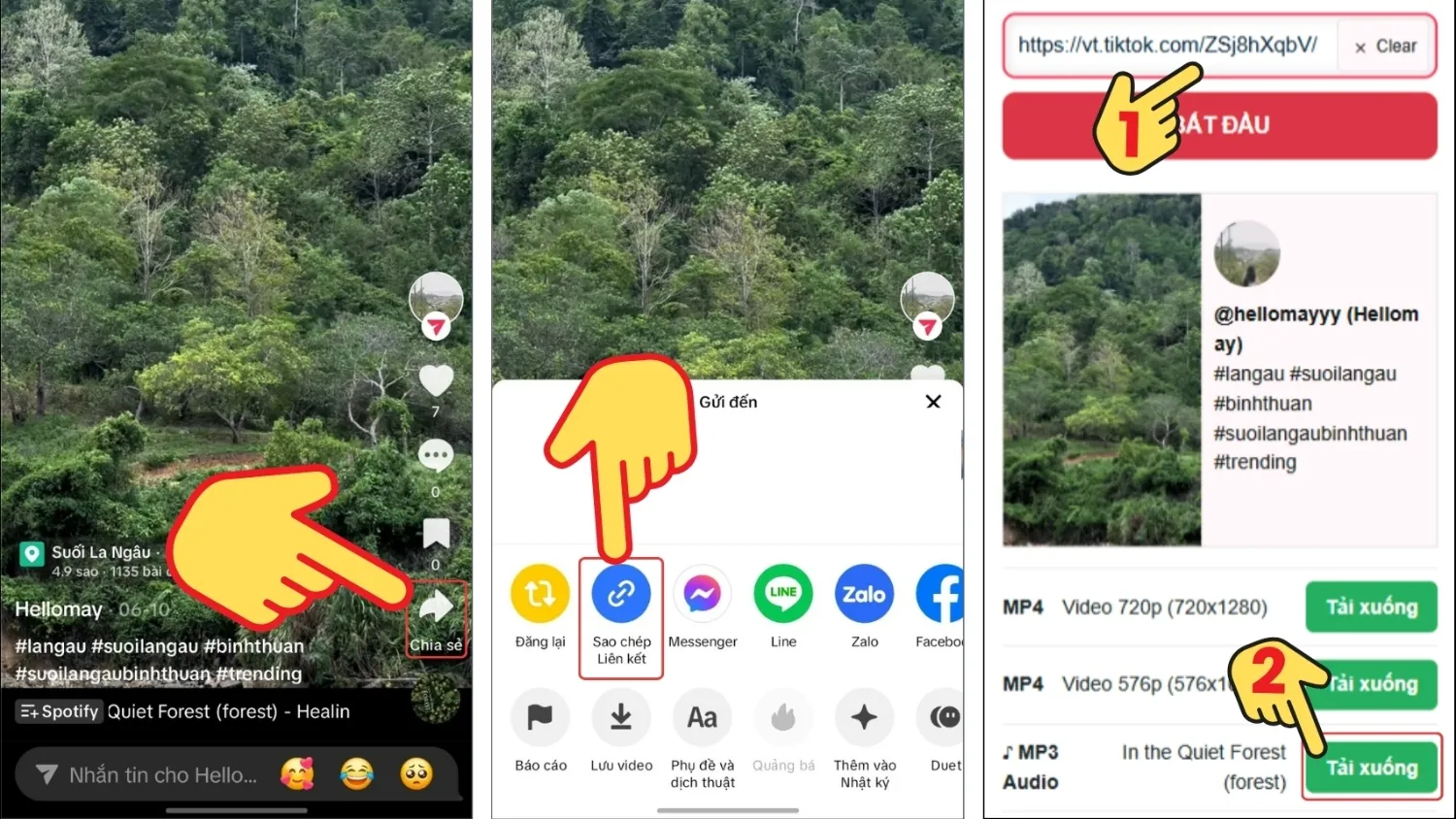 Truy cập LoveTik, dán liên kết TikTok, chọn tải xuống file MP3