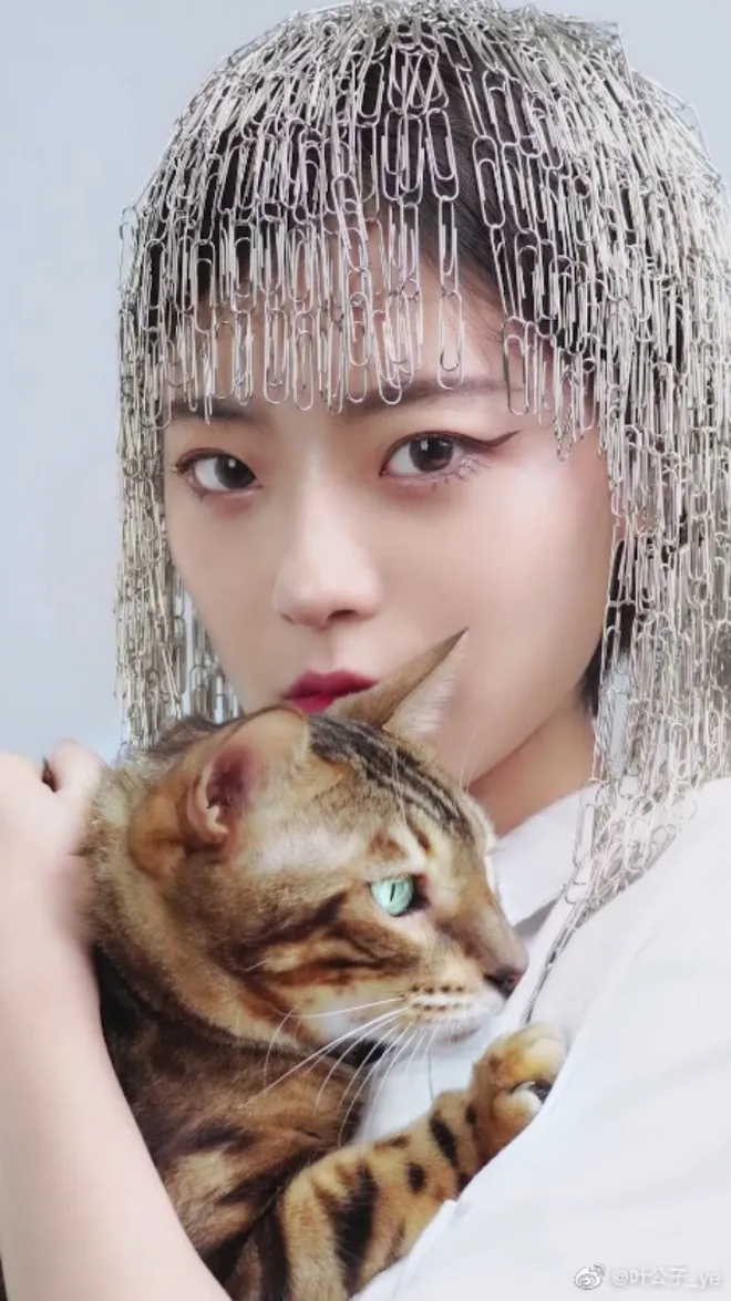 Một góc nhìn khác về Diệp Công Tử