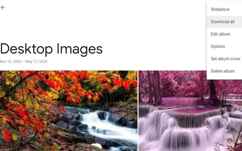 Tùy chọn Download all (Tải xuống tất cả) trong Album ảnh của Google Photos