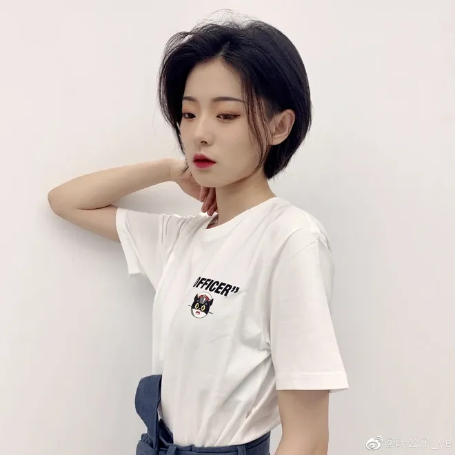 Hình ảnh minh họa cho các câu chuyện trong clip của Diệp Công Tử