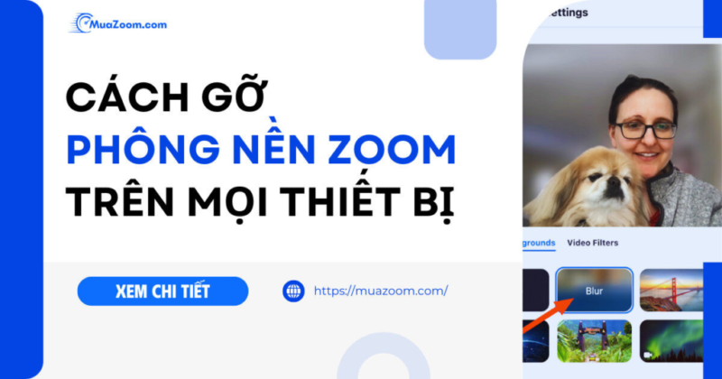 Hướng Dẫn Chi Tiết Cách Xóa Video Trên Máy Tính Hiệu Quả Và An Toàn