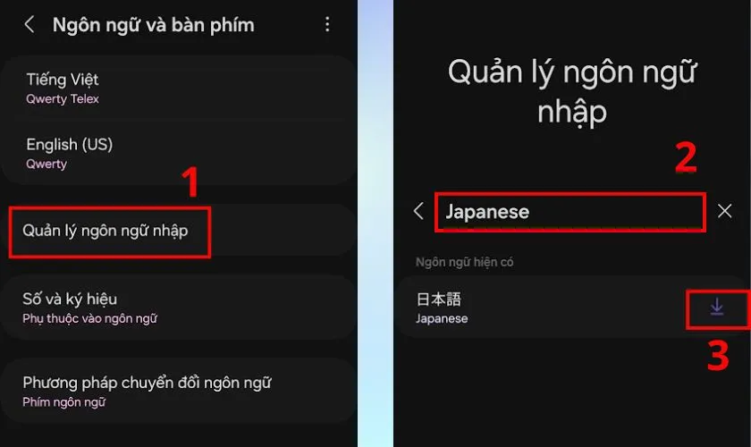 Chọn Quản lý ngôn ngữ nhập, tìm Japanese và nhấn vào biểu tượng tải xuống