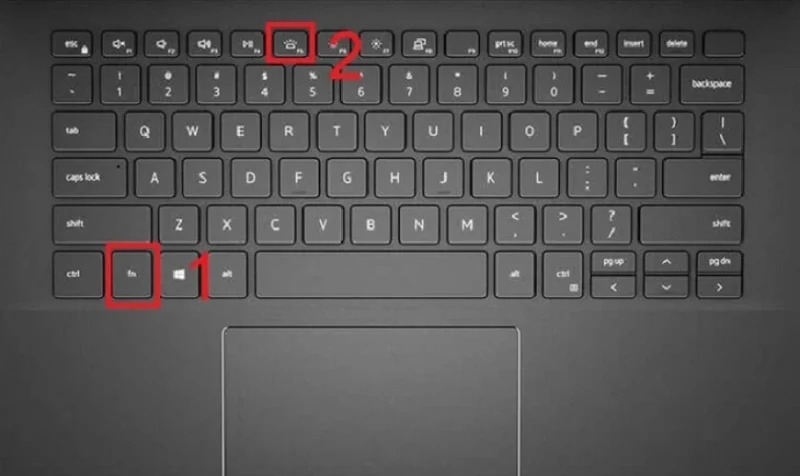 Hướng Dẫn Toàn Diện Cách Bật Đèn Bàn Phím Máy Tính Trên Laptop Và PC