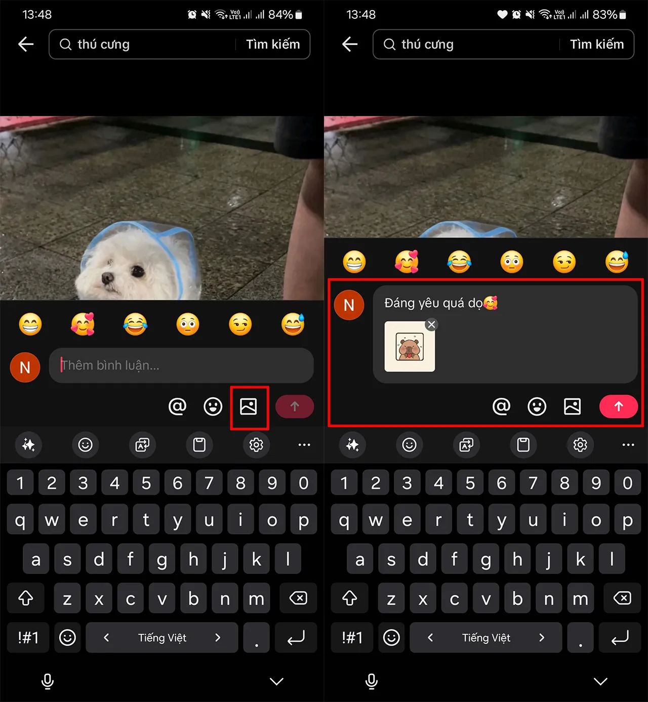 Cách Bình Luận Ảnh Trên TikTok: Chọn ảnh để bình luận