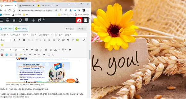 Thu nhỏ màn hình máy tính