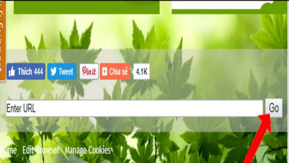 Nhập địa chỉ trang web và nhấn nút Go