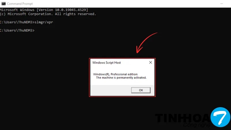 Cửa sổ Windows Script Host thông báo 'The machine is permanently activated'