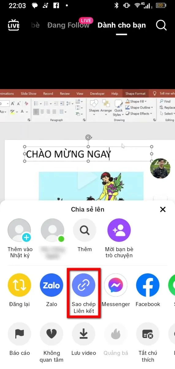 Sao chép liên kết video TikTok