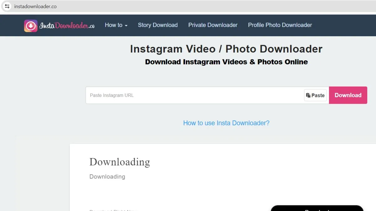 Sử dụng công cụ bên thứ ba như instadownloader để dán link và tải ảnh Instagram bước 2