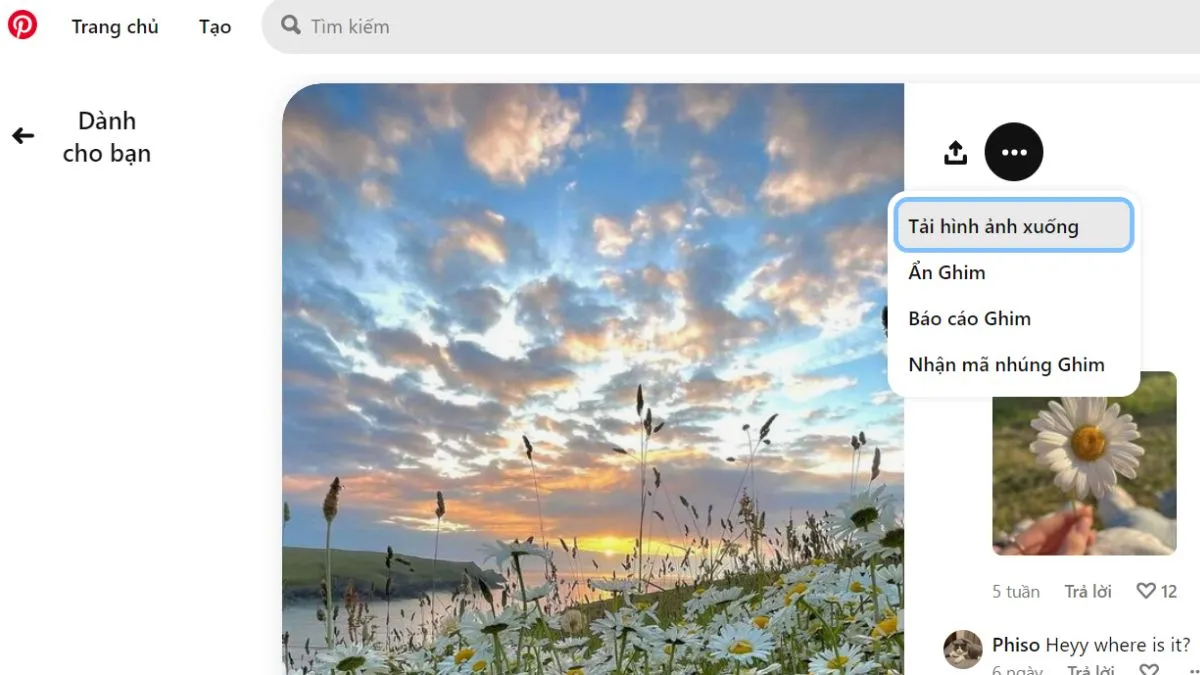 Quy trình tải hình ảnh từ Pinterest về máy tính