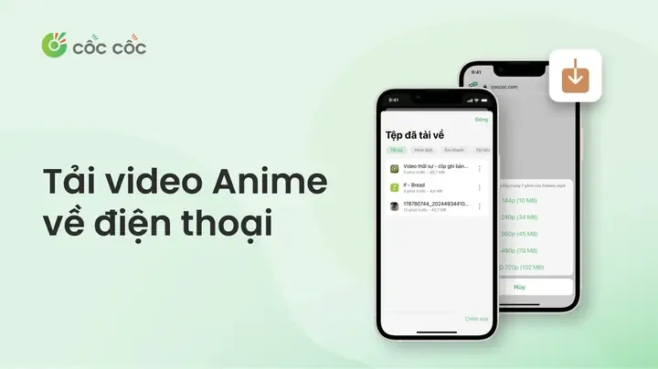 Alt text: Hình ảnh minh họa hướng dẫn cách tải video anime về điện thoại, áp dụng tương tự cho máy tính