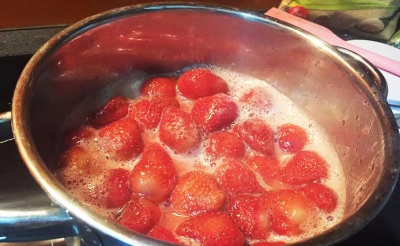 Sên sơ bộ dâu tây trước khi sấy khô trong quá trình thực hiện cách làm to loa máy tính