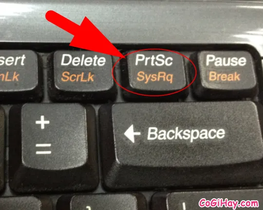 phím prt sc trên bàn phím