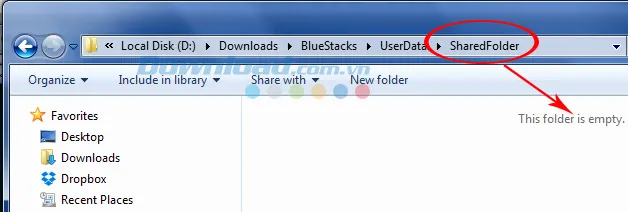 Giao diện Thư mục SharedFolder trống trên Windows
