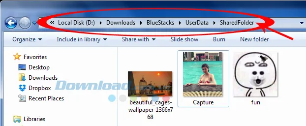 Đã Copy các tệp dữ liệu cần chuyển vào Bluestacks trong SharedFolder