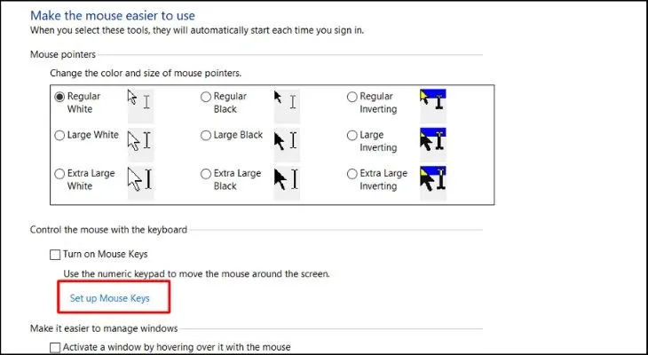 Chọn tiếp vào Set up Mouse Keys