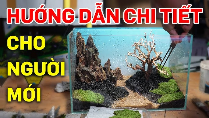 Hướng Dẫn Chi Tiết Cách Thu Nhỏ YouTube Trên Máy Tính Dễ Dàng Nhất
