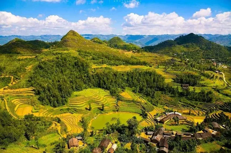 Khung cảnh hùng vĩ của Cao nguyên đá Hà Giang mùa lúa chín tháng 9 tháng 10, nơi chiêm ngưỡng hoa tam giác mạch