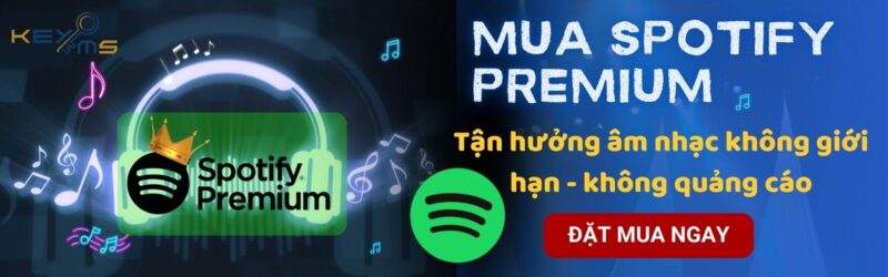 Nâng cấp Spotify Premium để sử dụng tính năng tải nhạc nghe offline