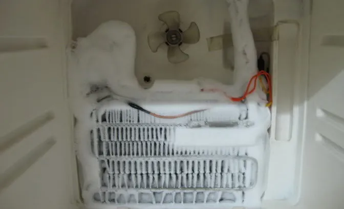 Kiểm tra cánh quạt tủ lạnh có bị vật cản hoặc đóng tuyết không