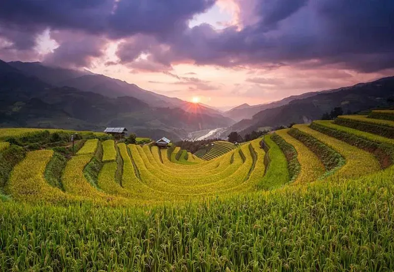 Ruộng bậc thang Mù Cang Chải, điểm đến lý tưởng khi quyết định tháng 9 tháng 10 nên đi du lịch ở đâu