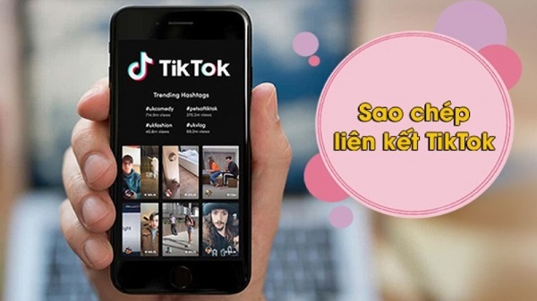 Hướng Dẫn Sao Chép Liên Kết TikTok Không Logo Hiệu Quả Từ A Đến Z