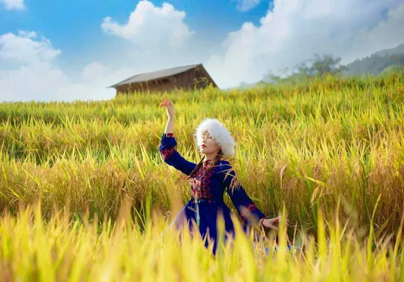 Sapa thơ mộng với ruộng bậc thang rực sắc vàng vào mùa thu tháng 9 tháng 10, một lựa chọn tuyệt vời cho du lịch