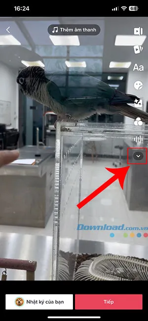 Nhấn vào biểu tượng mũi tên để mở rộng thanh công cụ chỉnh sửa âm thanh trên TikTok