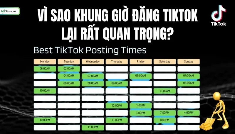 Vì sao khung giờ đăng TikTok lại rất quan trọng?