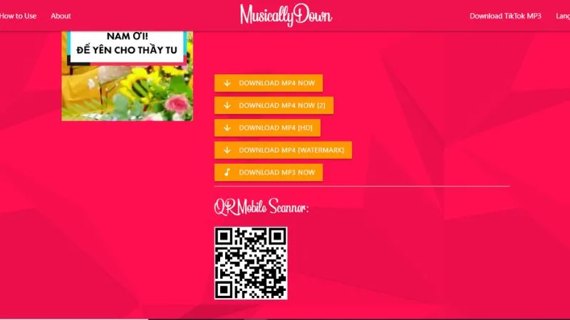 Lựa chọn tải xuống MP4 không logo trên MusallyDown