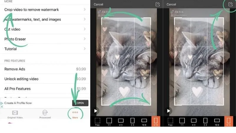 Giao diện chọn vùng xóa logo của Video Eraser