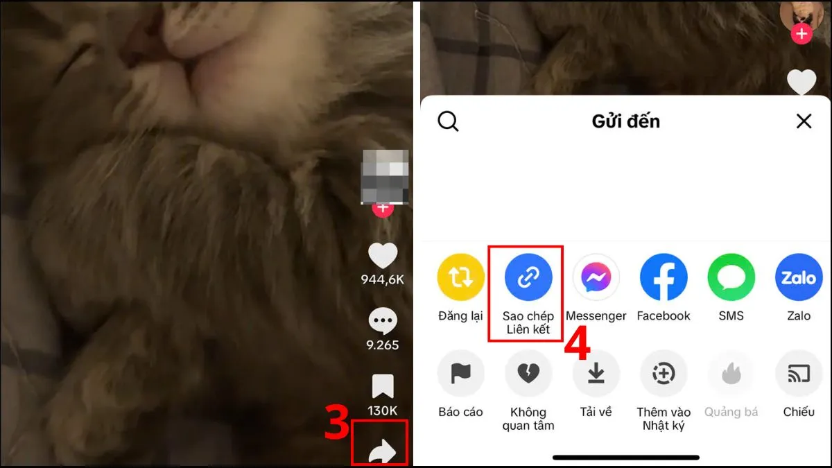 Sao chép liên kết video TikTok cho TikSaver