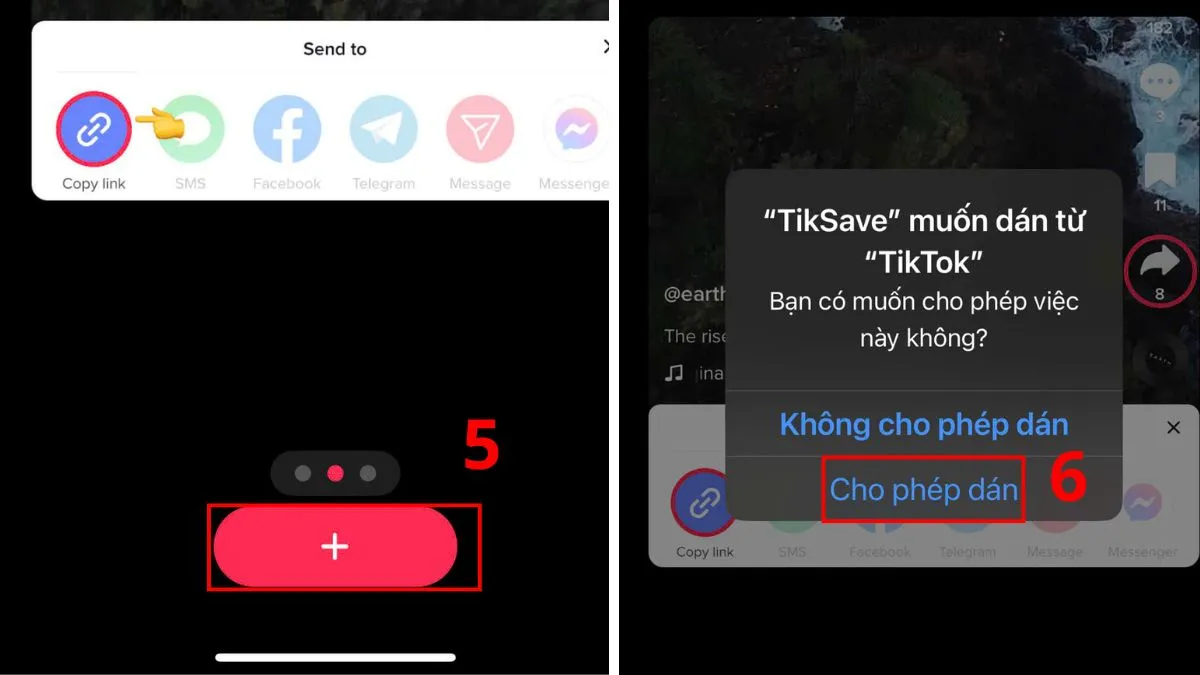 Dán liên kết vào TikSaver để xóa logo TikTok trên iPhone