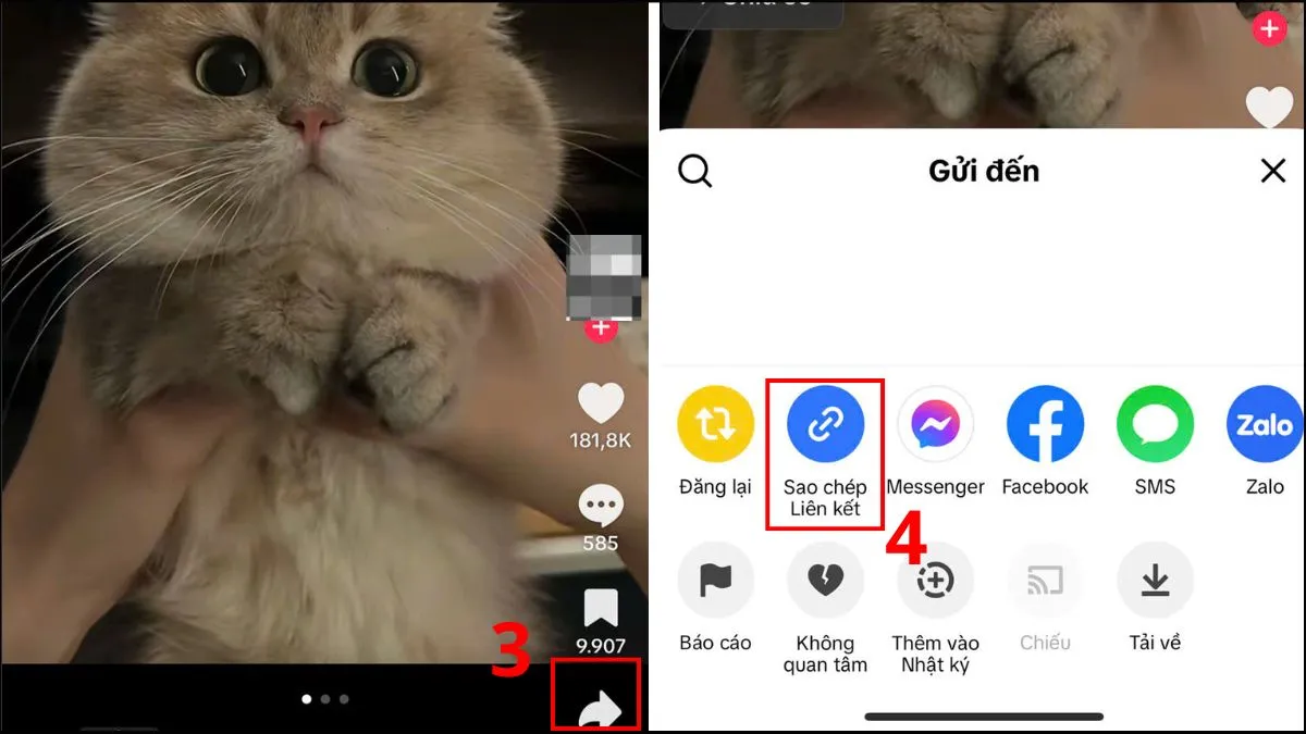 Sao chép liên kết video TikTok trước khi sử dụng SaveTik