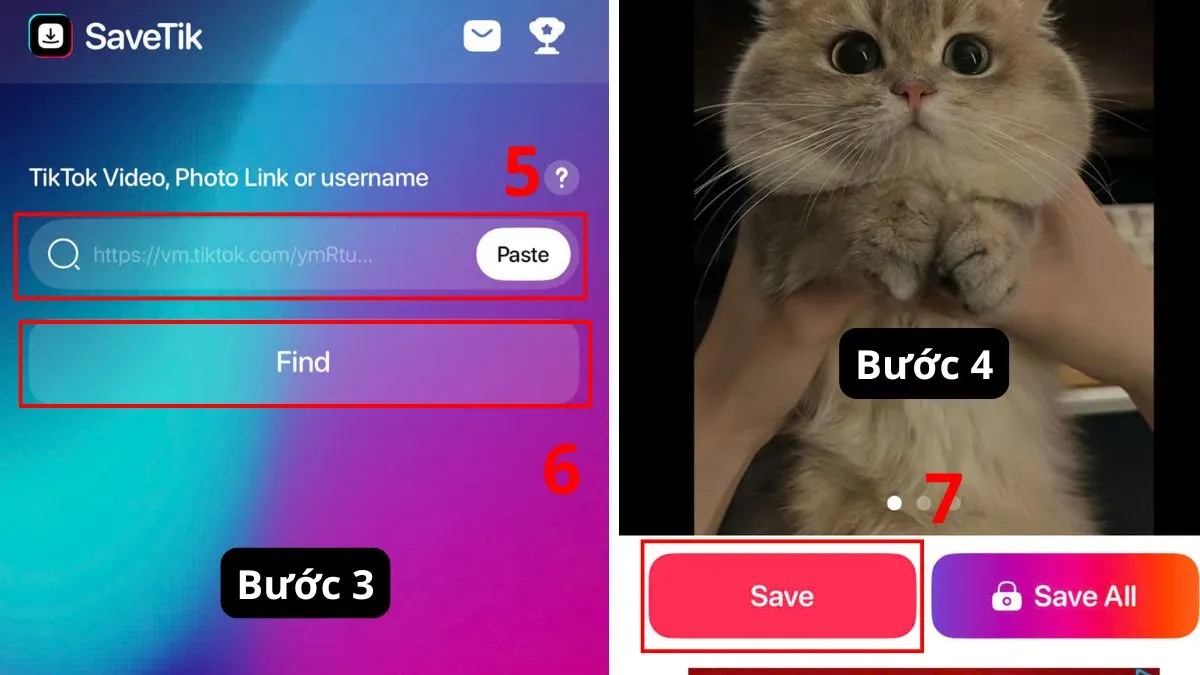 Dán liên kết vào SaveTik và lưu video không logo TikTok