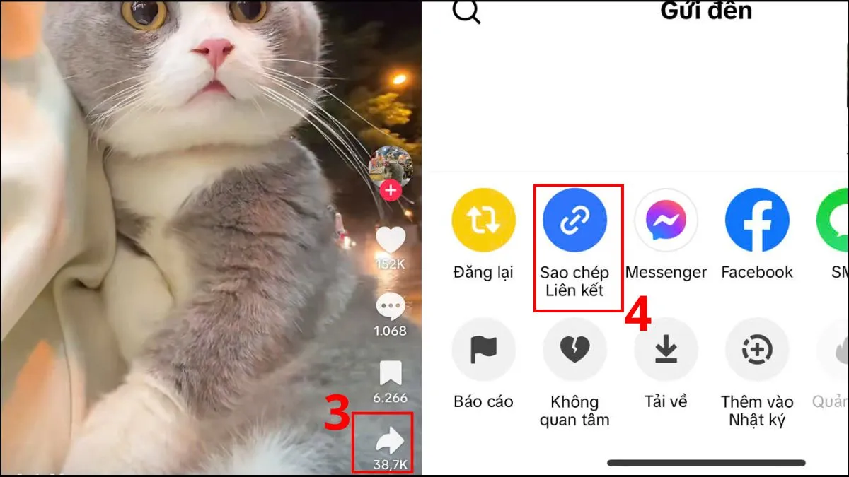 Sao chép liên kết video TikTok để sử dụng SSSTik