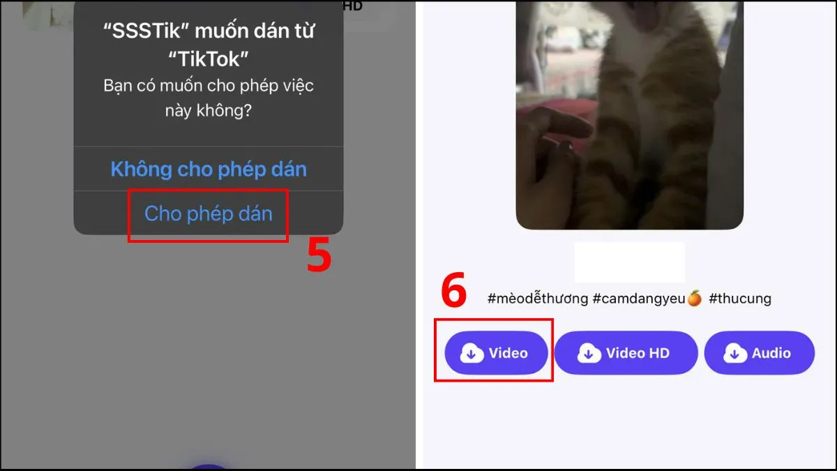Dán liên kết vào SSSTik và tải video không logo TikTok