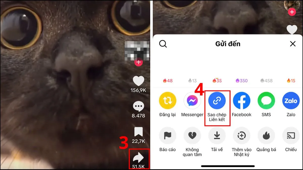Sao chép liên kết video TikTok để xóa logo trên iPhone