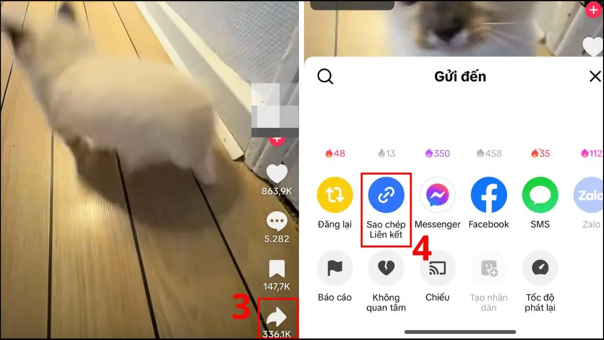 Sao chép liên kết video TikTok trước khi dùng SaveTok