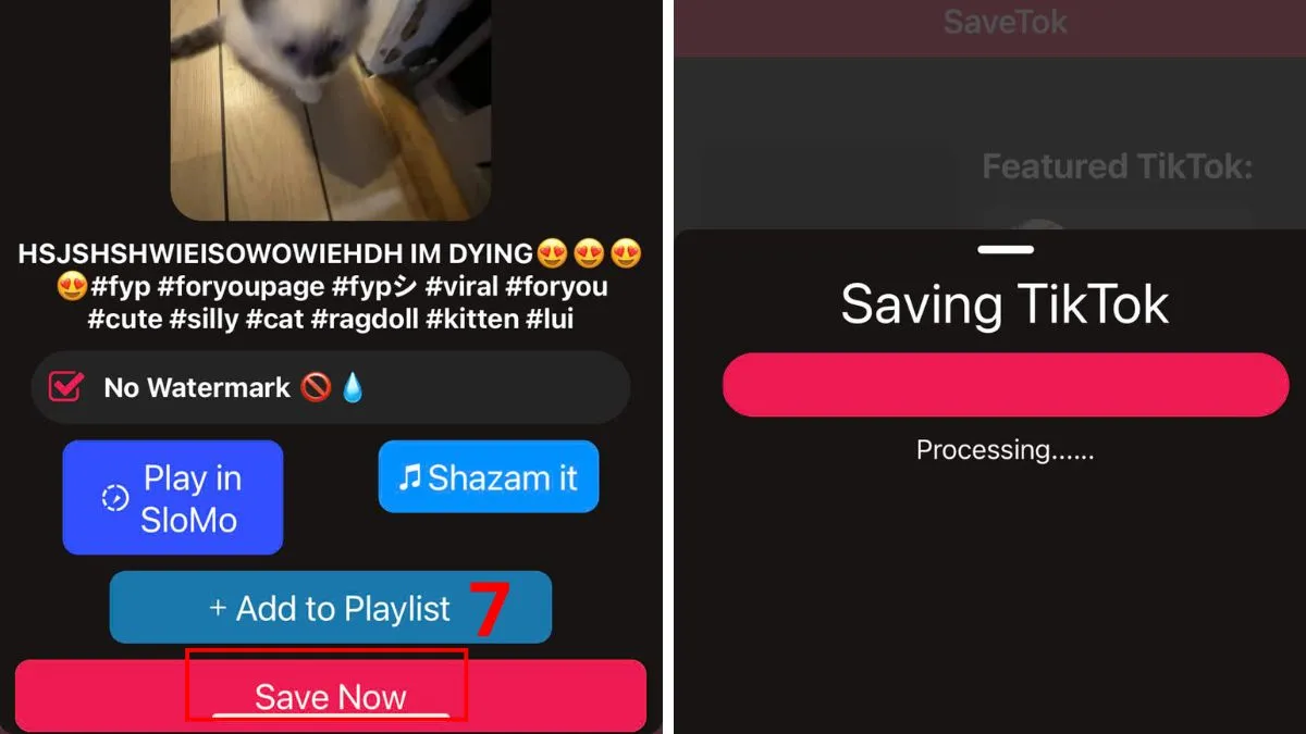 Lưu video đã xóa logo TikTok về iPhone bằng SaveTok