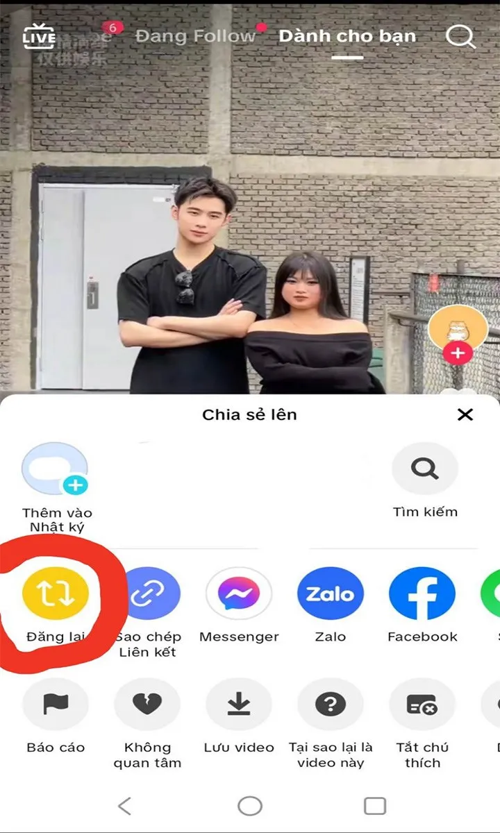 Chọn