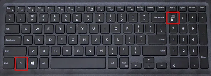 Thao tác nhấn tổ hợp phím Fn + Numlock để tắt chế độ gõ số