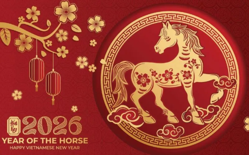 Hình nền 2026 chú ngựa bên cạnh cành mai