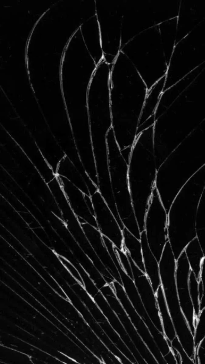 Ảnh nền bể màn hình điện thoại 4K độc lạ