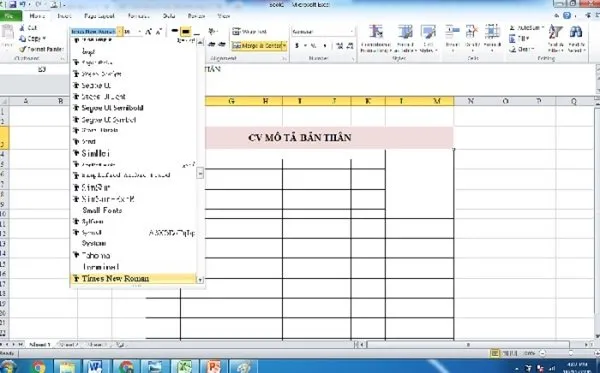 Lựa chọn thông tin chi tiết và chỉnh sửa định dạng khi tạo CV trên máy tính bằng Excel