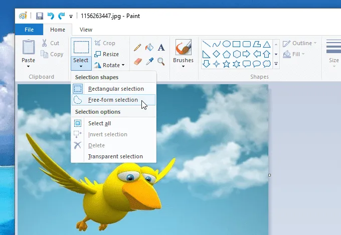 Giao diện công cụ Crop trong Paint để cắt ảnh theo vùng chọn