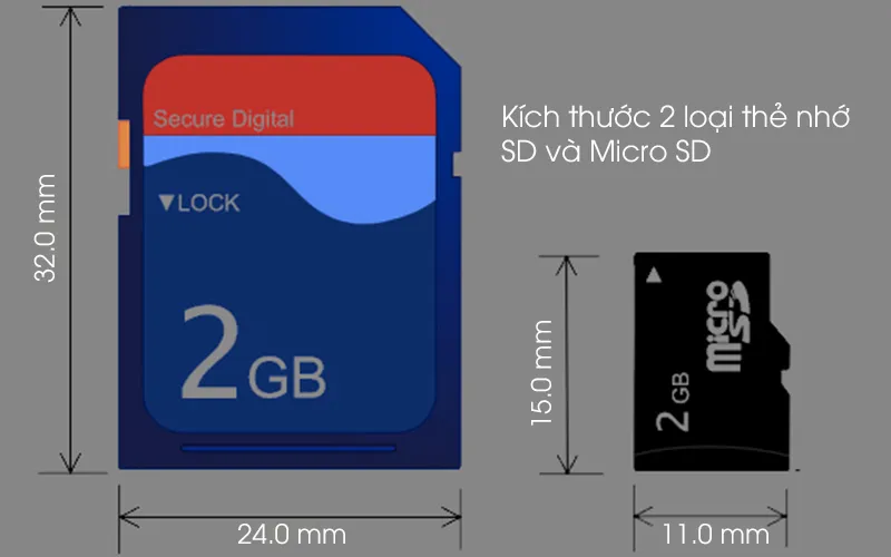Sự khác biệt rõ rệt về kích thước giữa thẻ nhớ SD truyền thống và thẻ Micro SD hiện đại trên các thiết bị lưu trữ