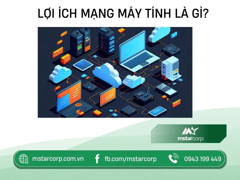 Biểu đồ minh họa giá trị kinh tế và hiệu suất khi sử dụng mạng máy tính